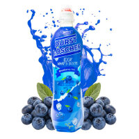 Durstlöscher Blueberry Ice 500ml