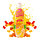 Durstlöscher Jelly 500ml