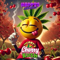 Happys Amsterdam Bundle + GRATIS Display
