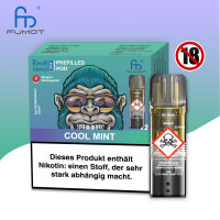 RandM Pod - Cool Mint