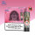 RandM Pod - Strawberry Watermelon Bubblegum