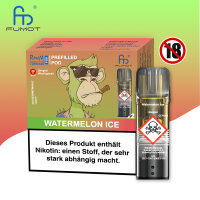 RandM Pod - Watermelon Ice