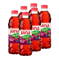 Jana - Ice Tea - Wald- u. Preiselbeeren 0,5l