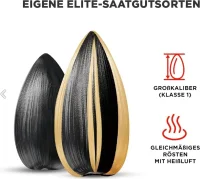 Jinn Sonnenblumenkerne geröstet & gesalzen, gestreift 20x150g