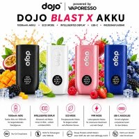 Dojo Blast X