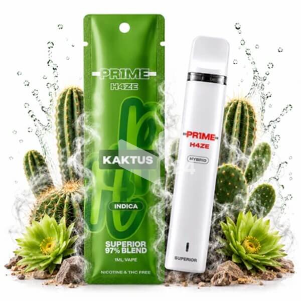 Pr1me H4ze Vape Kaktus